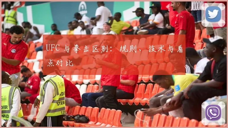UFC 与拳击区别:规则、技术与看点对比