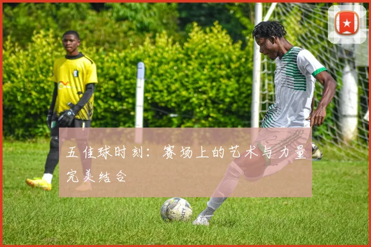 五佳球时刻:赛场上的艺术与力量完美结合
