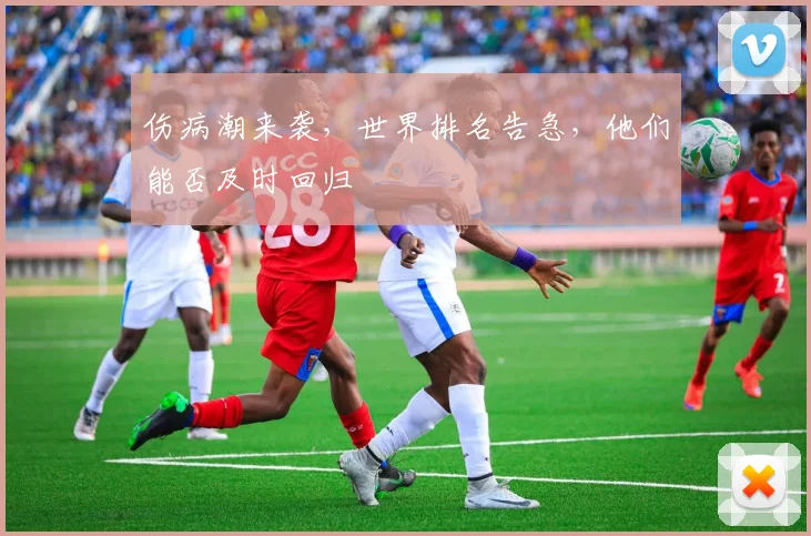 伤病潮来袭，世界排名告急，他们能否及时回归