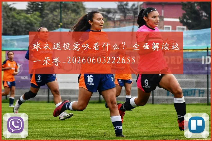 球衣退役意味着什么?全面解读这一荣誉_20260603222655