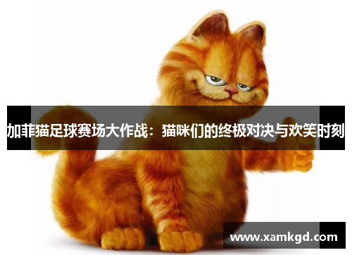 加菲猫足球赛场大作战：猫咪们的终极对决与欢笑时刻